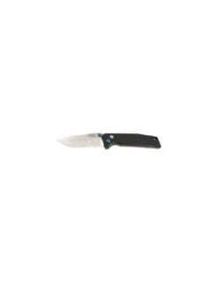 Couteau Pliant Ganzo Firebird FB7601BK